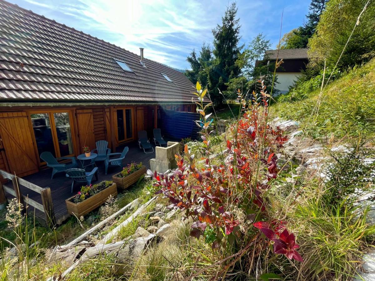 Chalet Des Feignes La Bresse Exteriér fotografie