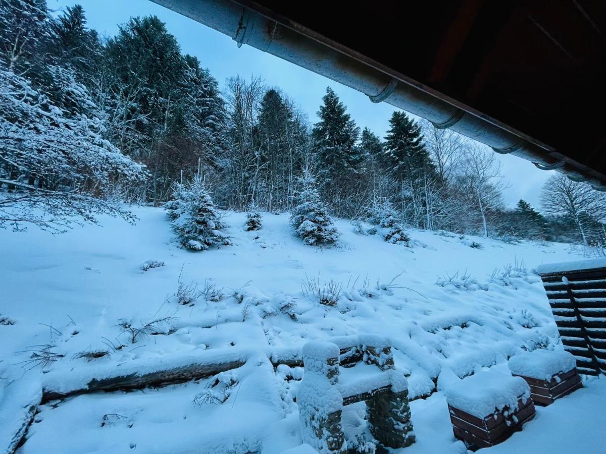 Chalet Des Feignes La Bresse Exteriér fotografie